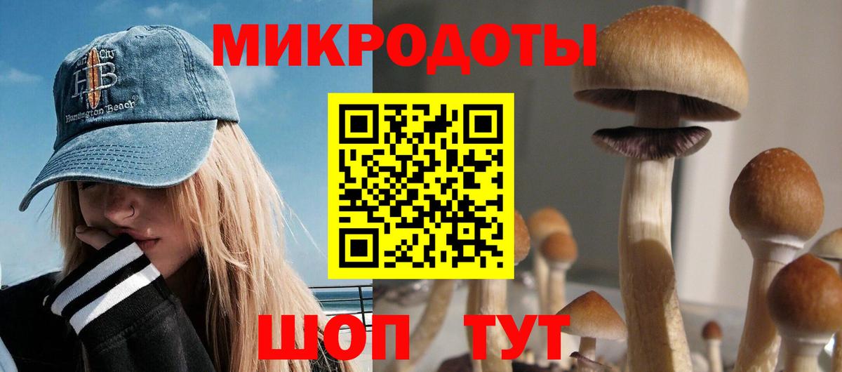 Галлюциногенные грибы Cubensis Чапаевск
