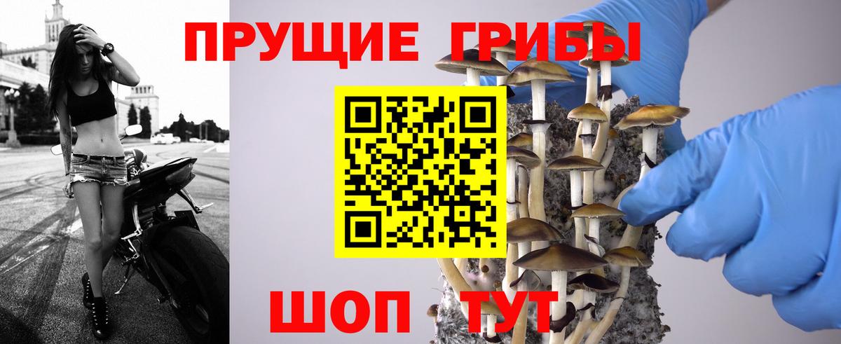Чапаевск  Псилоцибиновые грибы MAGIC MUSHROOMS  Галлюциногенные грибы прущие грибы  Вход с VPN 